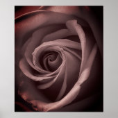 Poster Rose vintage (Devant)