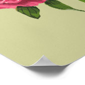 Poster Rose vintage Pink Peony Garden Flower (Coin)