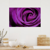 Poster Rose violet (Cuisine)