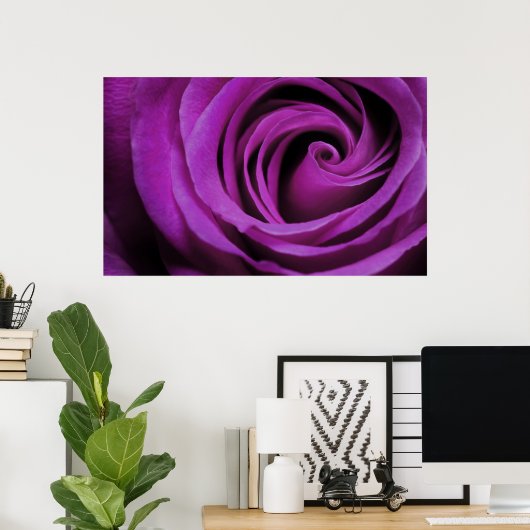 Poster Rose violet (Bureau à domicile)