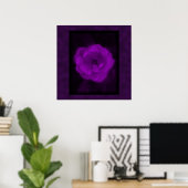 Poster Rose violet. Avec le violet noir et foncé. (Bureau à domicile)