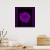 Poster Rose violet. Avec le violet noir et foncé. (Cuisine)
