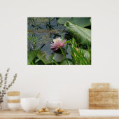 Poster Rose Water Lily (Cuisine)