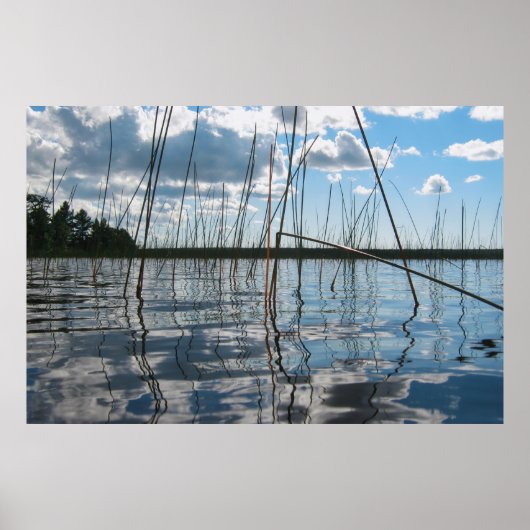 Poster Roseaux et reflets sur le lac Rice (Devant)