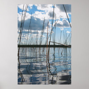 Poster Roseaux sur le lac Rice – Péninsule supérieure