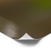 Poster rosebud brillant (Coin)