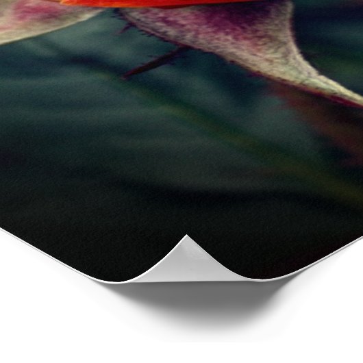 Poster Rosebud Jaune Avec Points Forts Rouges (Coin)