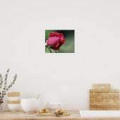 Poster Rosebud rouge pliant (Cuisine)