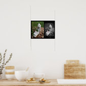Poster Rosebustes & Raindrops Baisers Wall Art par Stan V (Cuisine)