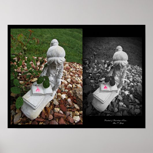Poster Rosebustes & Raindrops Baisers Wall Art par Stan V (Devant)