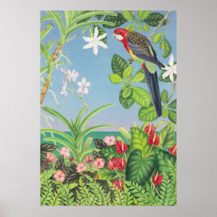 Poster Rosella oriental