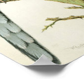 Poster Rosella Parrakeets (Coin)