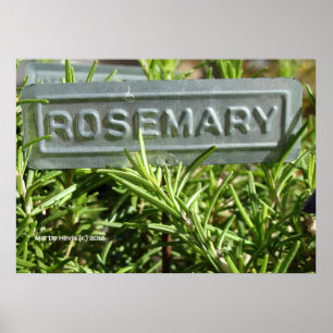 Poster Rosemary