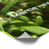 Poster Rosemary (Coin)