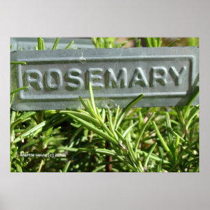 Poster Rosemary