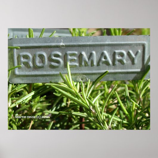 Poster Rosemary (Devant)