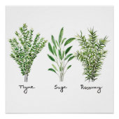 Poster Rosemary Herbes de Sage de thym Cuisine culinaire  (Devant)