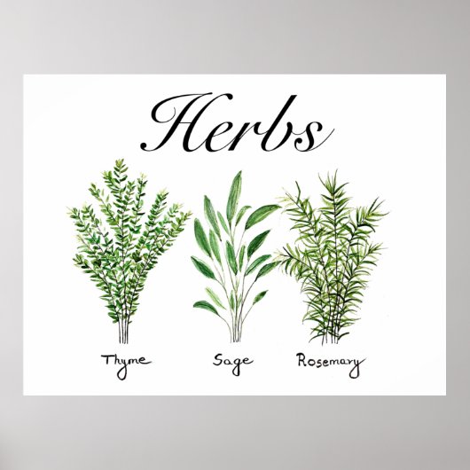 Poster Rosemary Herbes de Sage de thym Cuisine culinaire  (Devant)