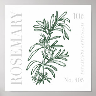 Poster Rosemary vintage