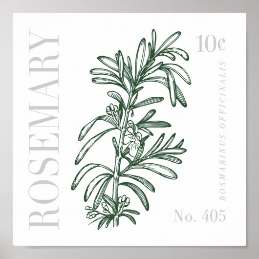Poster Rosemary vintage (Devant)