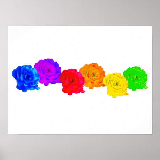 Poster Roses arc-en-ciel (Devant)