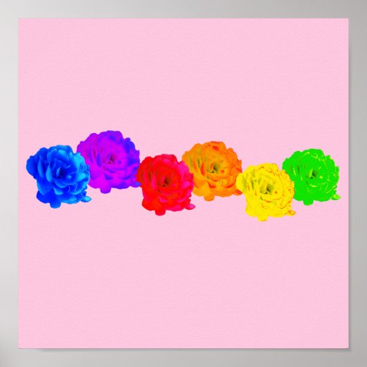 Poster Roses arc-en-ciel (Devant)