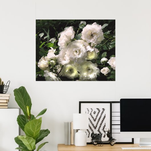Poster Roses blanches (Bureau à domicile)