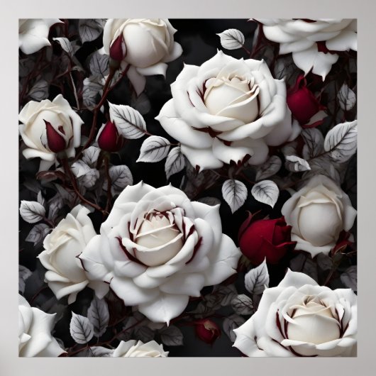Poster Roses Blanches Bourgogne Avec Feuilles Noirs (Devant)
