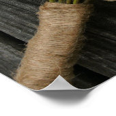 Poster Roses blanches et bois d'araignée (Coin)