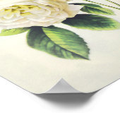 Poster Roses blanches et papillons par Pierre Redoute (Coin)