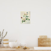Poster Roses blanches et papillons par Pierre Redoute (Cuisine)
