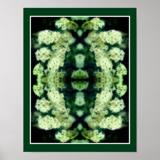 Poster Roses blanches frissonnantes miroir Abstrait (Devant)