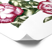 Poster Roses blanches No2 (Coin)
