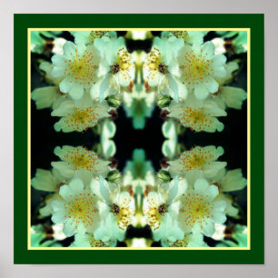 Poster Roses Blanches Sauvages Grimpantes Art Floral Abst