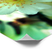 Poster Roses blancs retors (Coin)