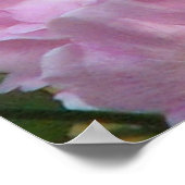 Poster Roses de bruits roses (Coin)