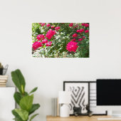 Poster Roses de Fushia partout (Bureau à domicile)