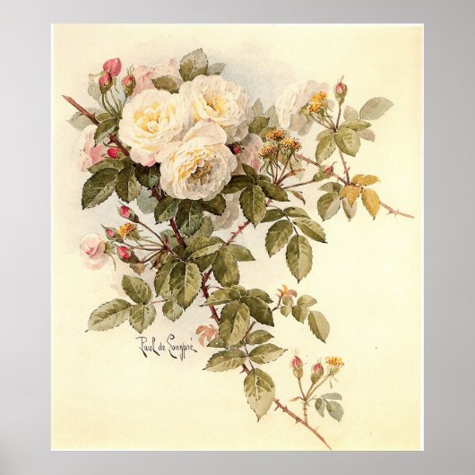 Poster Roses de Guinevere de Paul De Longpré (Devant)