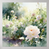 Poster Roses de jardin rose fardé (Devant)