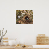 Poster Roses de nids d'oiseaux et de chiens par John Will (Cuisine)