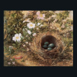 Poster Roses de nids d'oiseaux et de chiens par John Will<br><div class="desc">Bird's Nest and Dog Roses (1867) de John William Hill est un art vintage de l'époque victorienne, encore la peinture nature de la vie. Un nid d'oiseau avec quatre oeufs bleus non éclos entourés de fleurs roses de chien blanc dans le jardin ou la forêt. À propos de l'artiste :...</div>