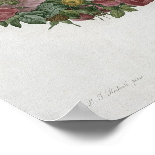 Poster Roses de Noël (Coin)