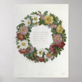 Poster Roses de Noël (Devant)