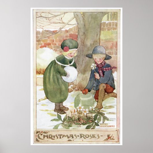 Poster Roses de Noël par Anne Anderson (Devant)