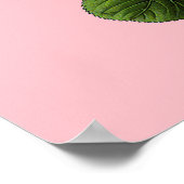 Poster Roses de thé rose (Coin)