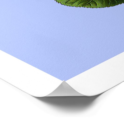 Poster Roses de thé rose (Coin)