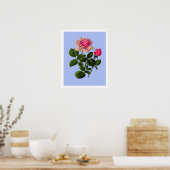 Poster Roses de thé roses (Cuisine)