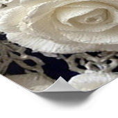 Poster Roses décoratives blanches élégantes (Coin)