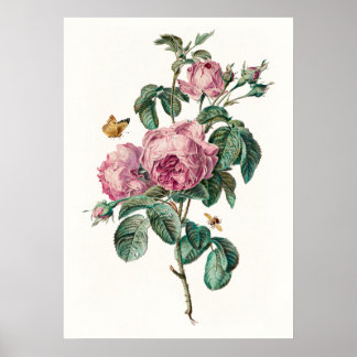 Poster Roses et papillons Vintage Art botanique Imprimer
