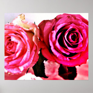 Poster Roses florissants